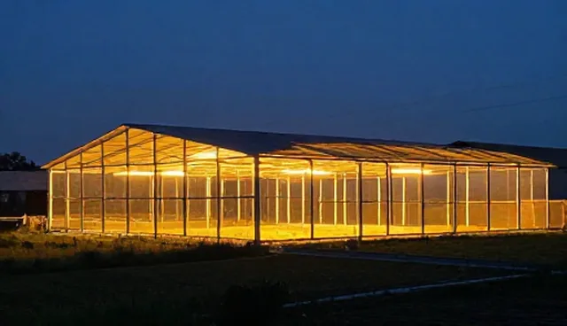 慢性病管理方案选型与维护建议